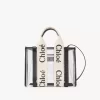 Bolso tote pequeño Woody en gelatina y cuero Bolso tote pequeño Woody en gelatina y cuero