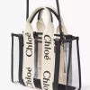 Bolso tote pequeño Woody en gelatina y cuero Bolso tote pequeño Woody en gelatina y cuero