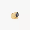 El anillo amuleto de Chloé