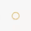 El anillo icónico de Chloé