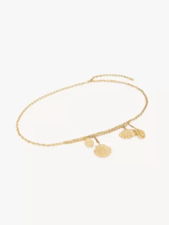 El cinturón Chloé Shells