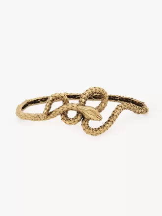 El cinturón de serpiente de Chloé
