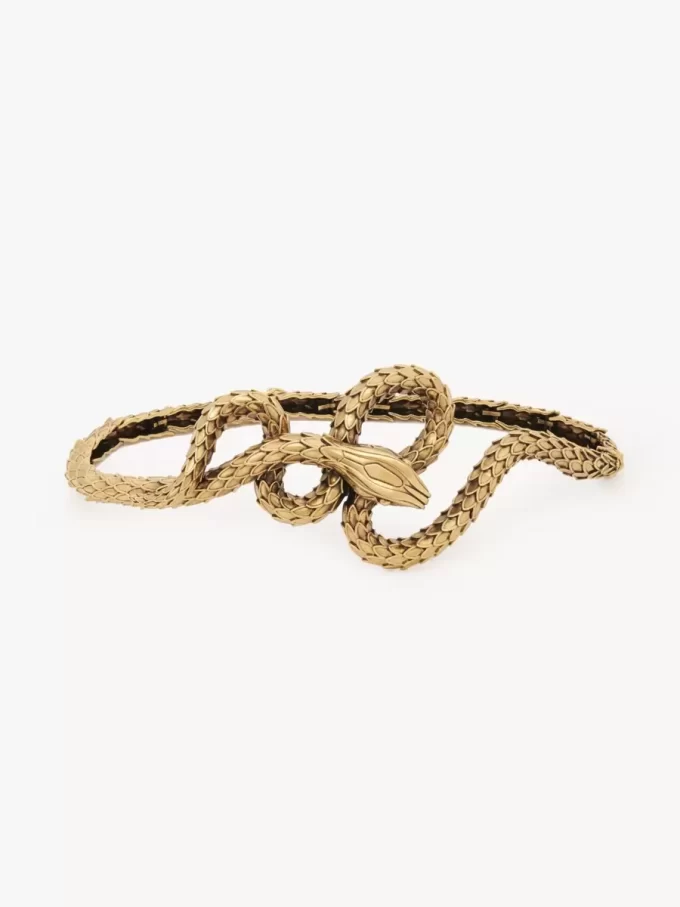 El cinturón de serpiente de Chloé