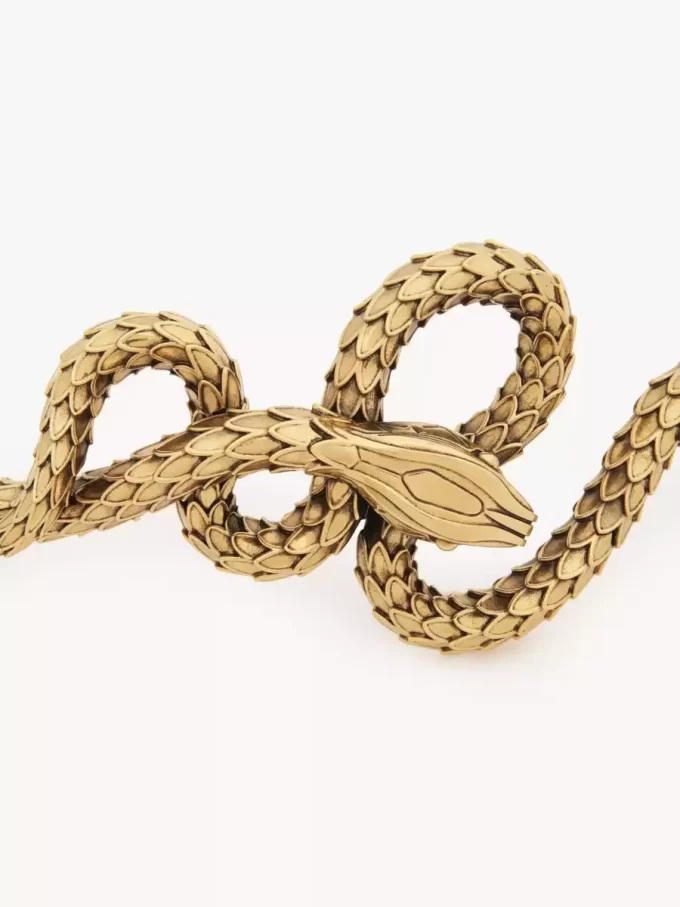 El cinturón de serpiente de Chloé