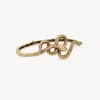 El cinturón de serpiente de Chloé