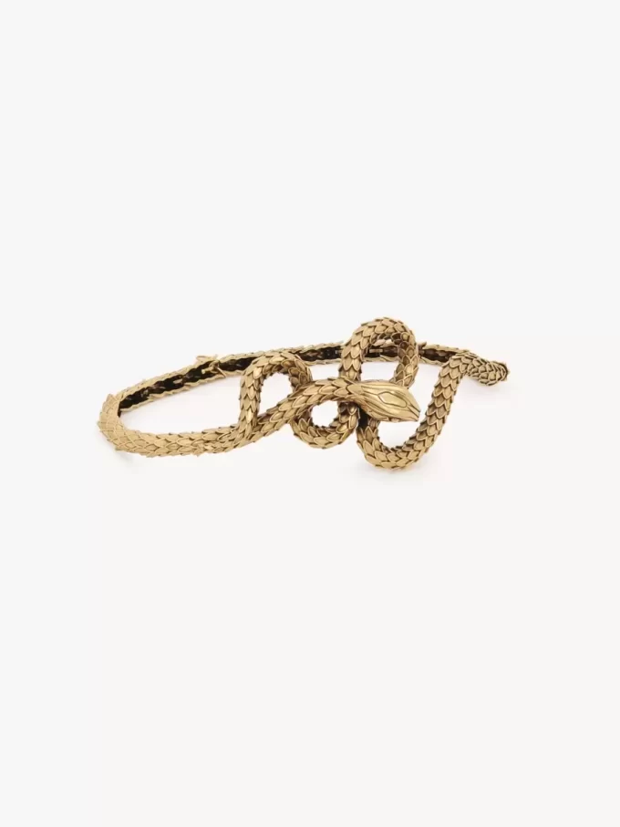 El cinturón de serpiente de Chloé