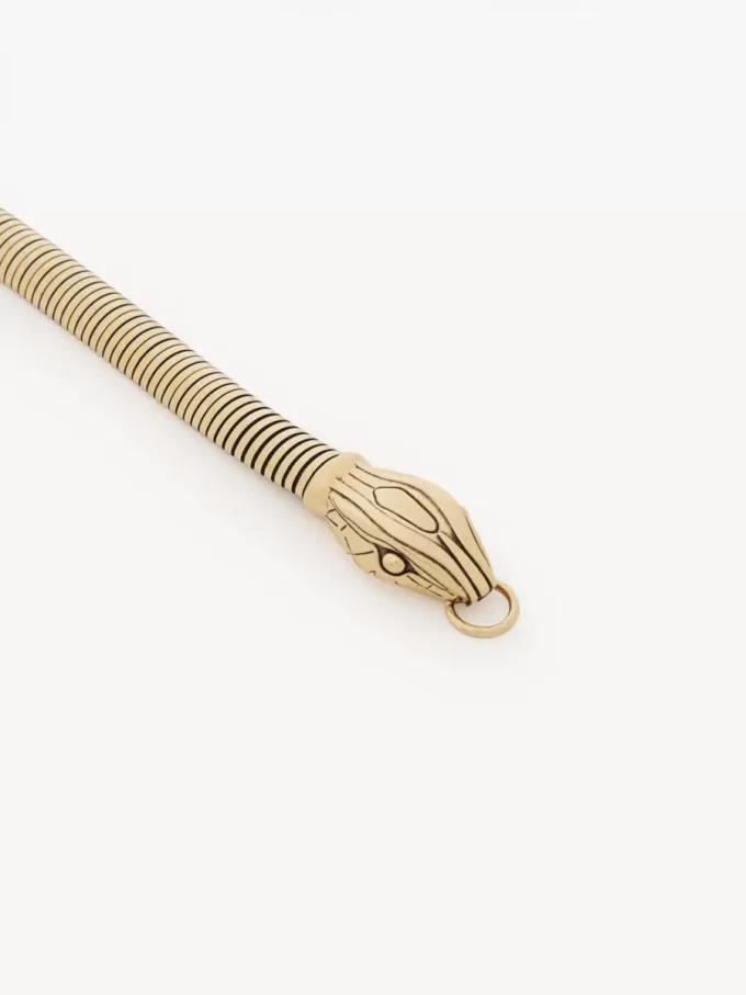 El cinturón de serpiente de Chloé