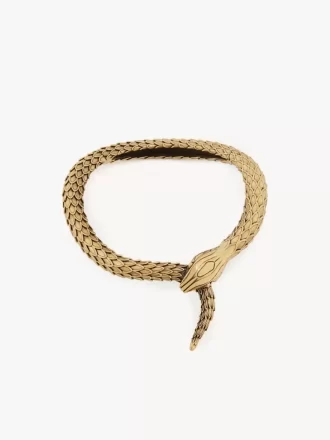 El collar de serpiente de Chloé
