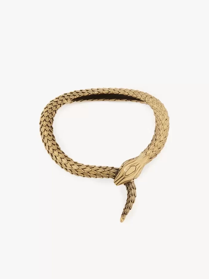 El collar de serpiente de Chloé El collar de serpiente de Chloé