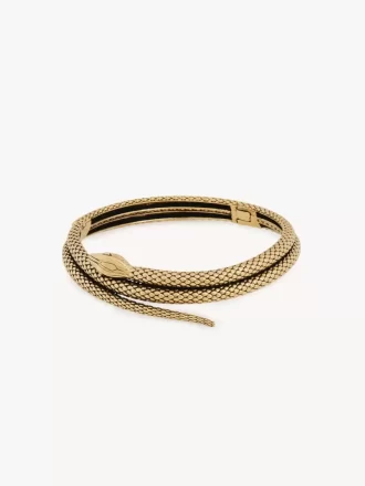 El collar de serpiente de Chloé