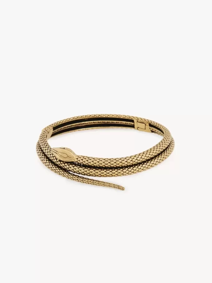 El collar de serpiente de Chloé El collar de serpiente de Chloé