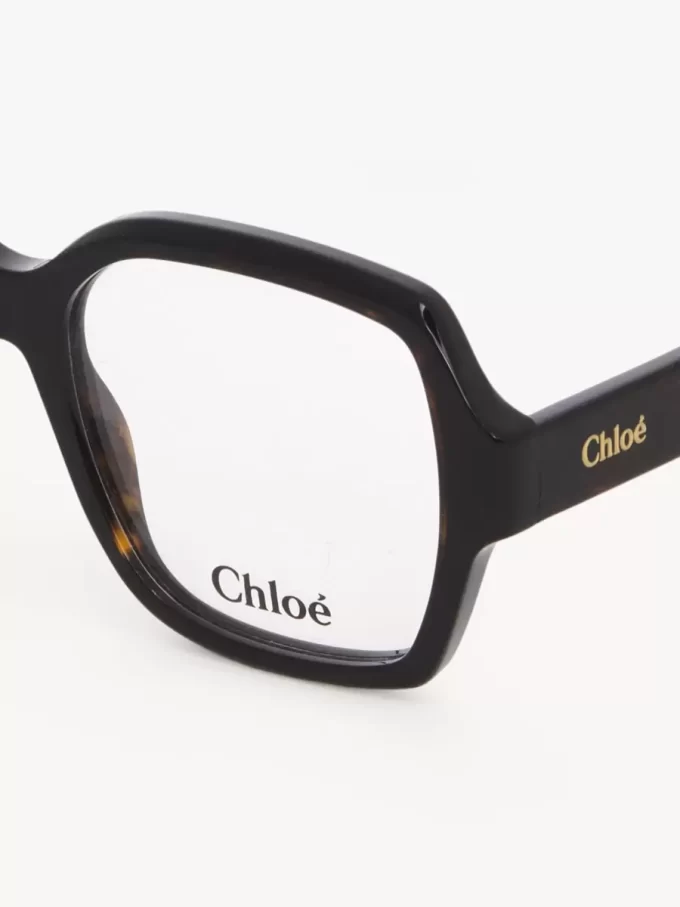 Gafas Gayia Gafas Gayia