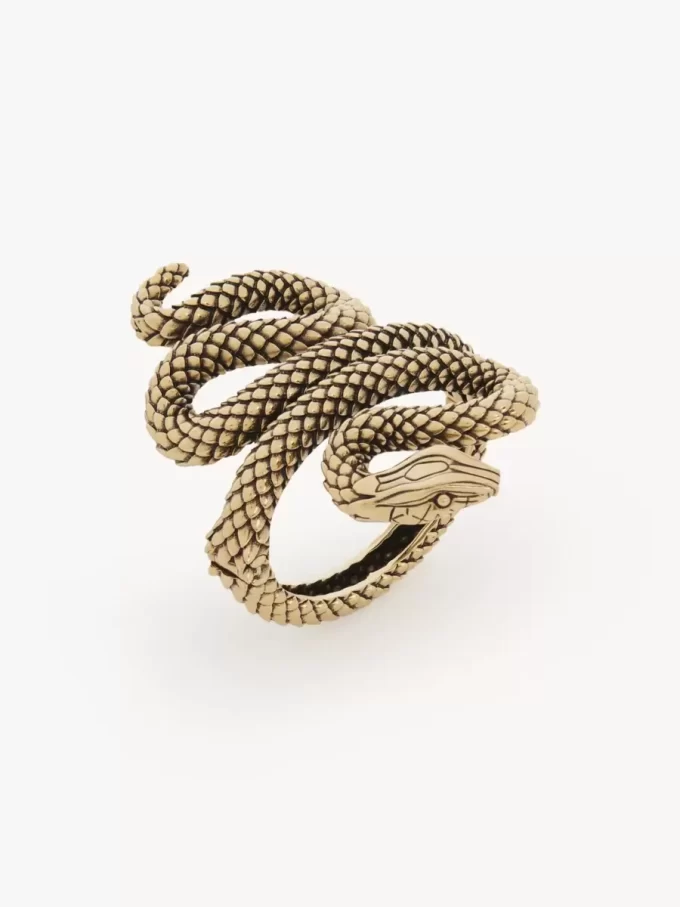 La pulsera Chloé Snake La pulsera Chloé Snake